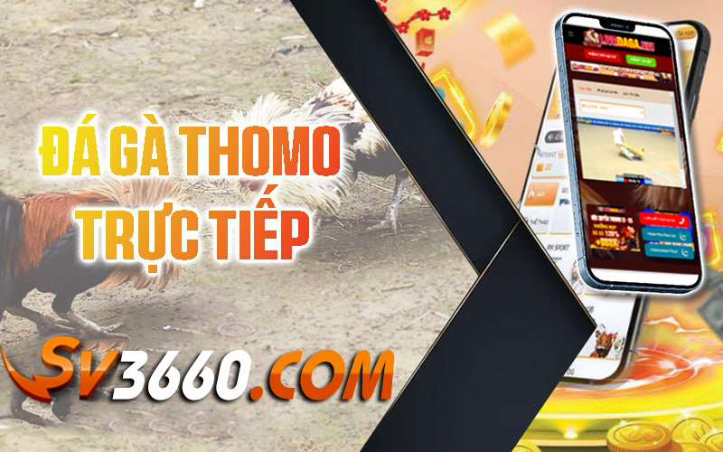 Truc-tiep-da-ga-sv3660-Truc-tiep-Thomo-hang-ngay