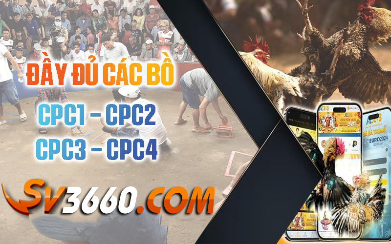 Truc-tiep-day-du-cac-bo-ga-sv3660